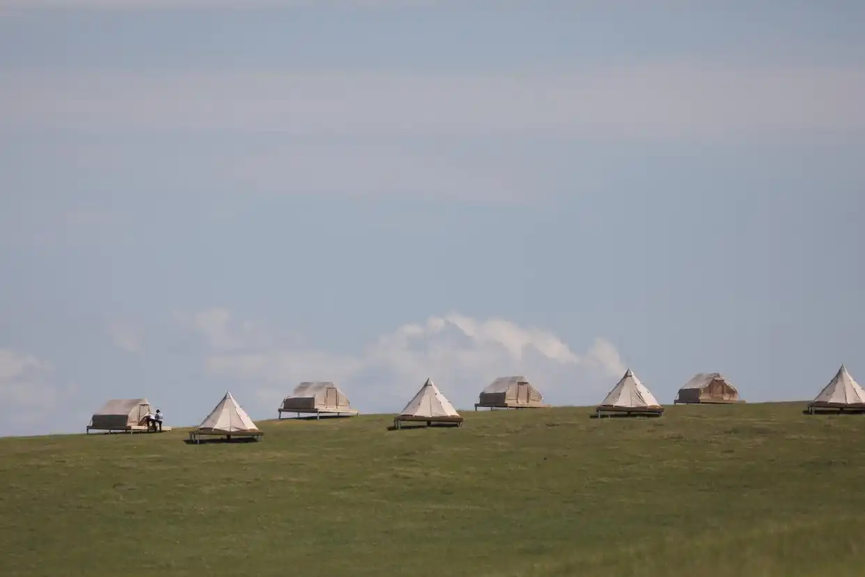 美丽中国丨呼伦贝尔大草原夏日即景