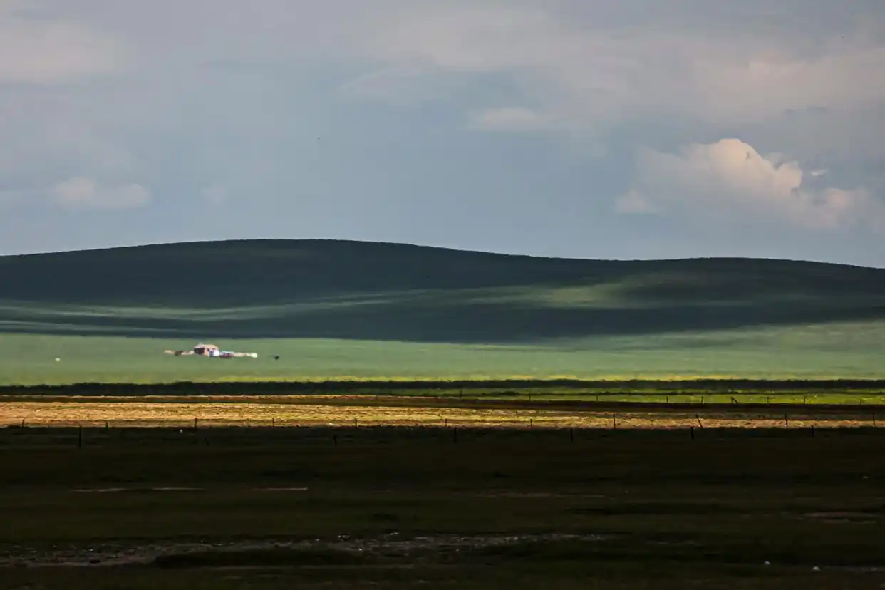 美丽中国丨呼伦贝尔大草原夏日即景
