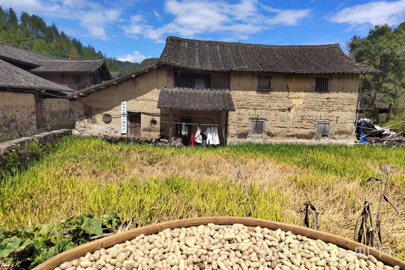 浙江泰顺：打造“泰顺客栈+” 为全域旅游添新动能