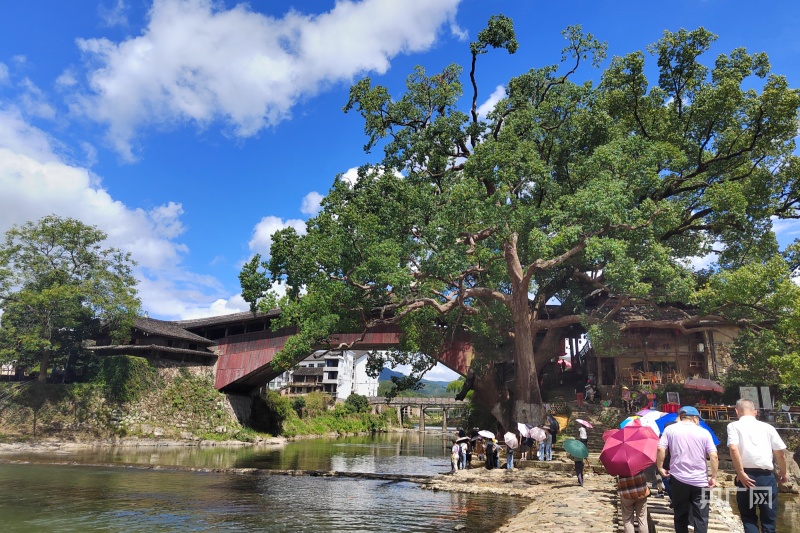 浙江泰顺：打造“泰顺客栈+” 为全域旅游添新动能