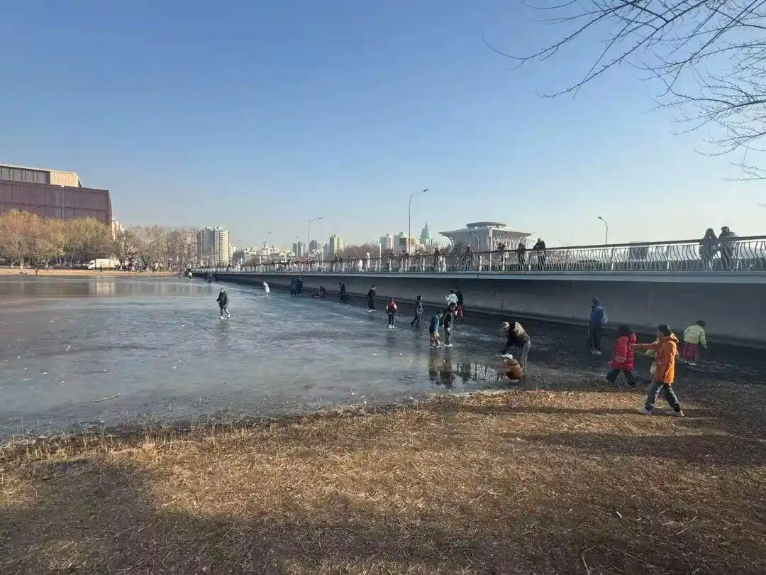 北京奥林匹克公园刚上冻就有人上冰，反复不听劝、在危险边缘试探！