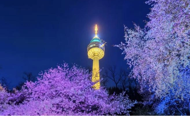 航班时刻表来了！青岛机场即将开通省内唯一直飞韩国大邱航线