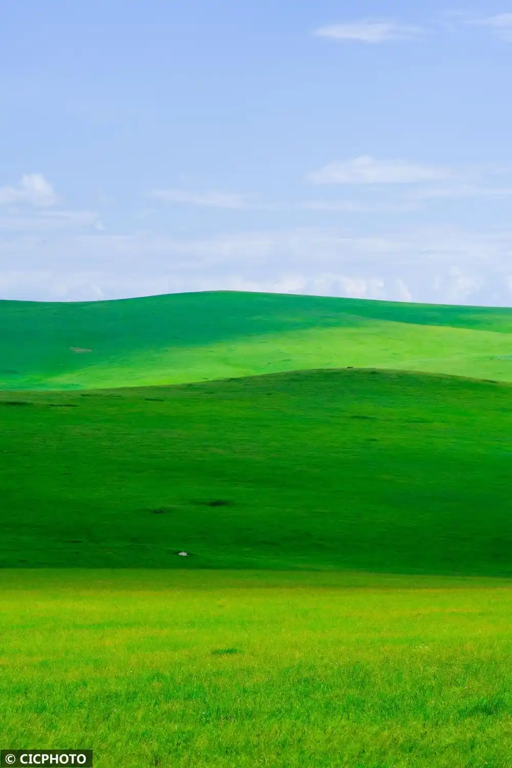 内蒙古呼伦贝尔：夏日草原入画来