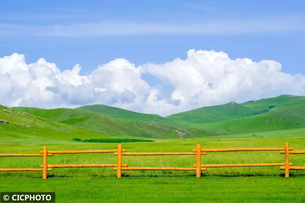 内蒙古呼伦贝尔：夏日草原入画来