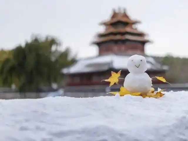 北京日报社区小板报｜周五迎初雪，故宫周六门票已约满