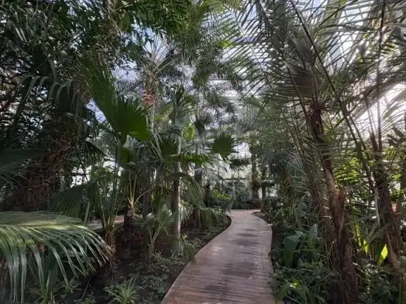 北京日报社区小板报｜周五迎初雪，故宫周六门票已约满