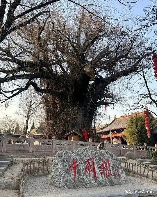 明朝百万大移民最真实的真相？洪洞大槐树与鄱阳瓦屑坝的六百年回响