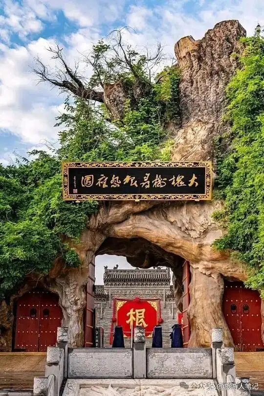 明朝百万大移民最真实的真相？洪洞大槐树与鄱阳瓦屑坝的六百年回响