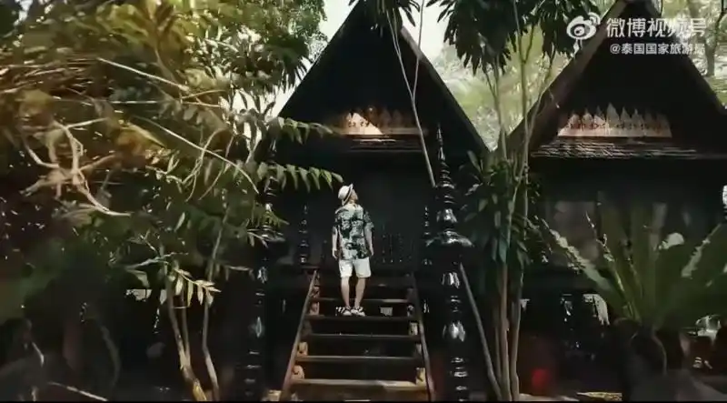 半两财经｜东南亚游火了！2026年元旦出境游热门目的地前三都有哪儿