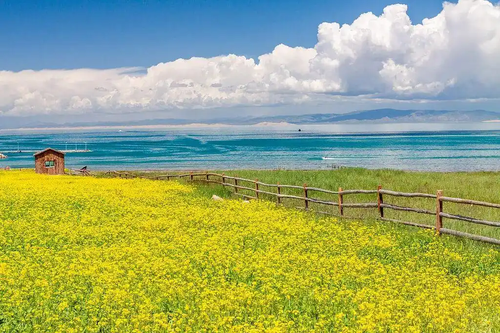 中国美景被外网标注成日本，外交官辟谣：这是中国！