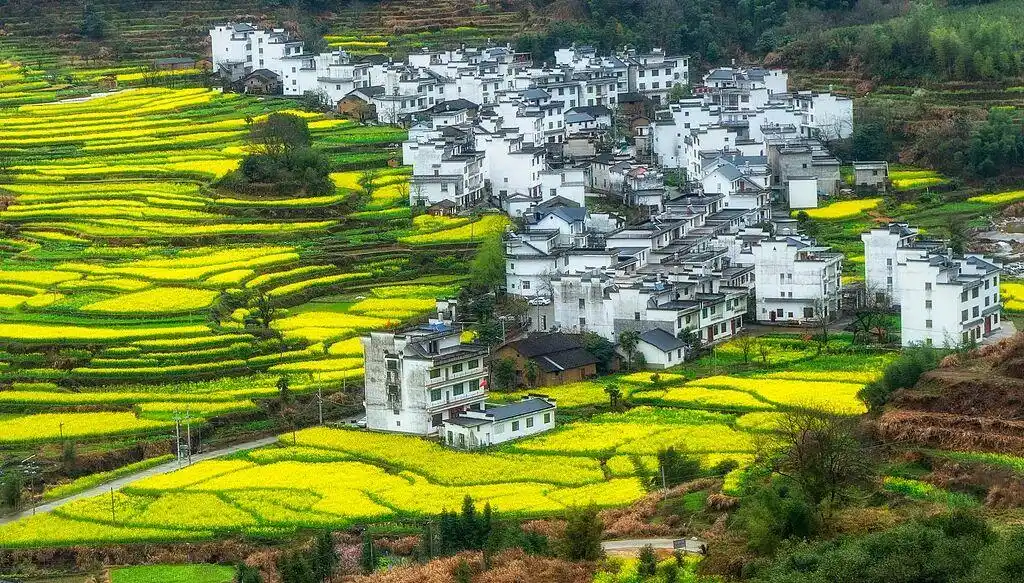 中国美景被外网标注成日本，外交官辟谣：这是中国！