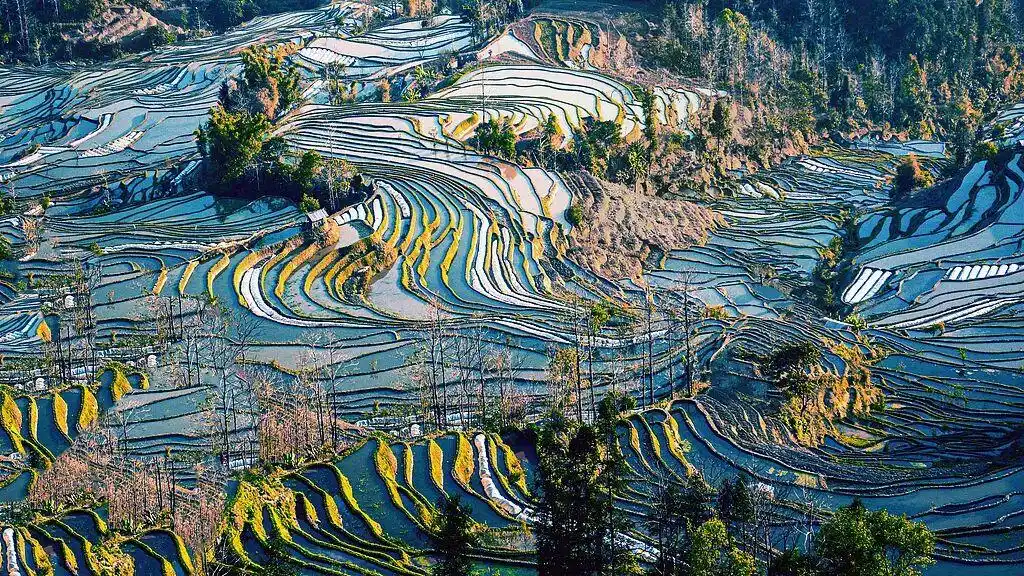 中国美景被外网标注成日本，外交官辟谣：这是中国！