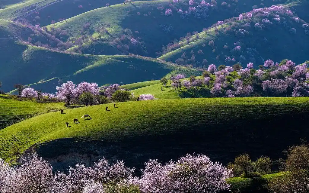 中国美景被外网标注成日本，外交官辟谣：这是中国！