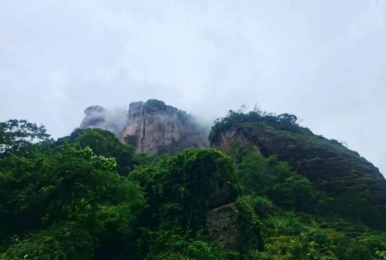 武夷岩茶香飘国事，将军令大红袍传承百年茶魂