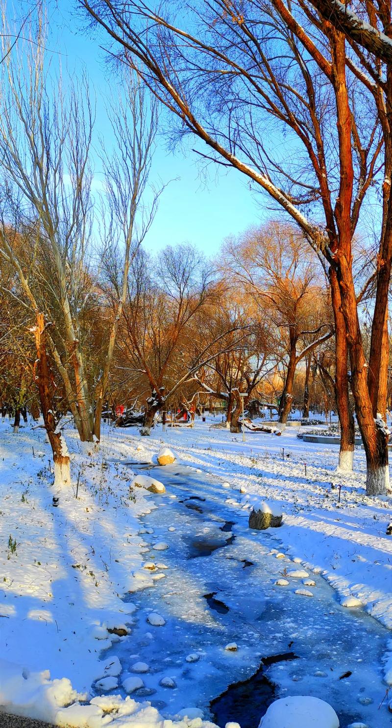 延庆迎初雪，多景点披银装成冬日胜景