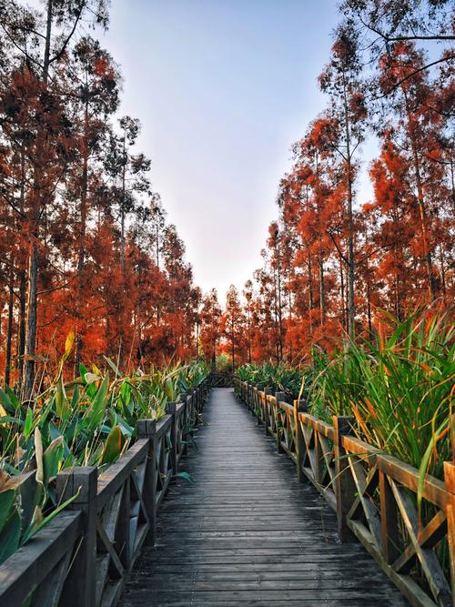 温州秋季摄影景点推荐，出片率100%