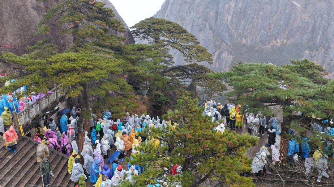 雪雪雪！黄山风景区迎来今冬首场降雪