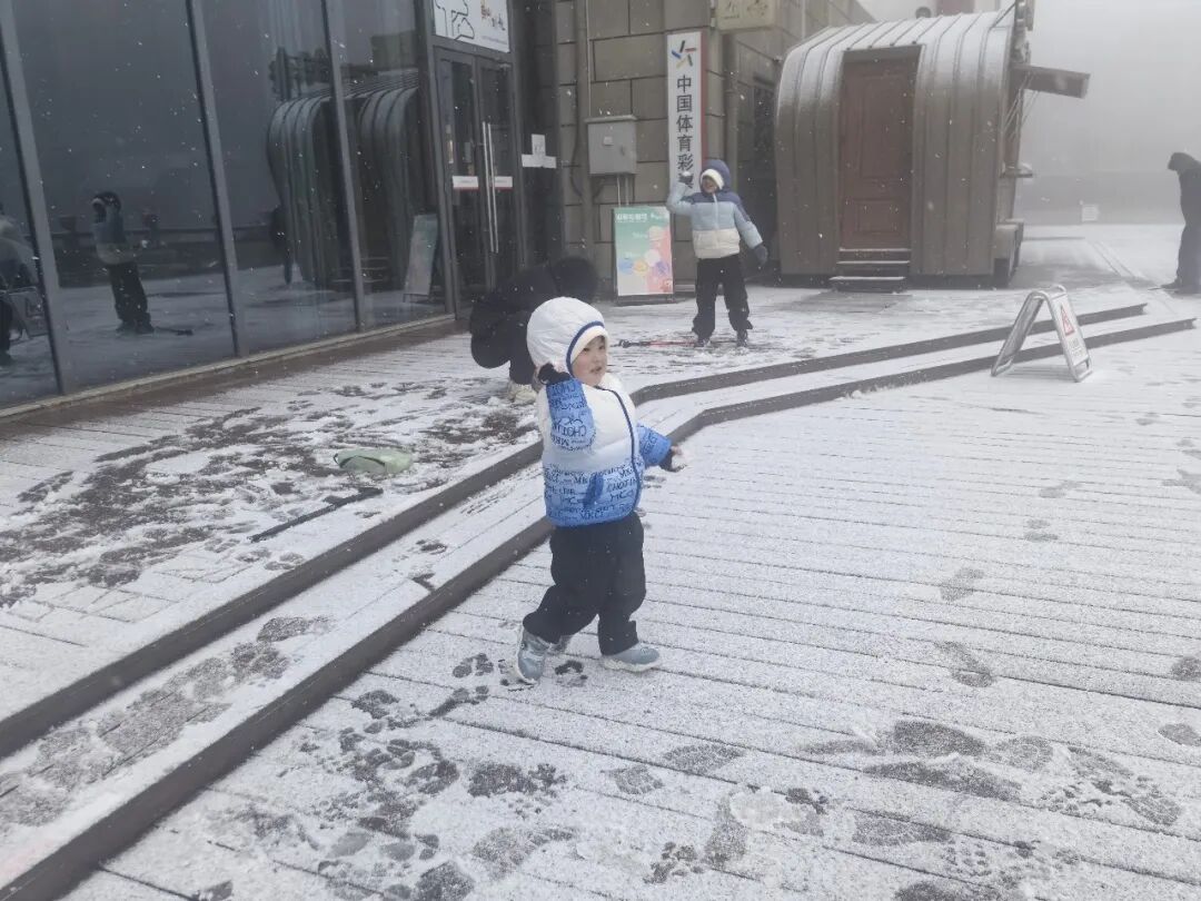 雪雪雪！黄山风景区迎来今冬首场降雪