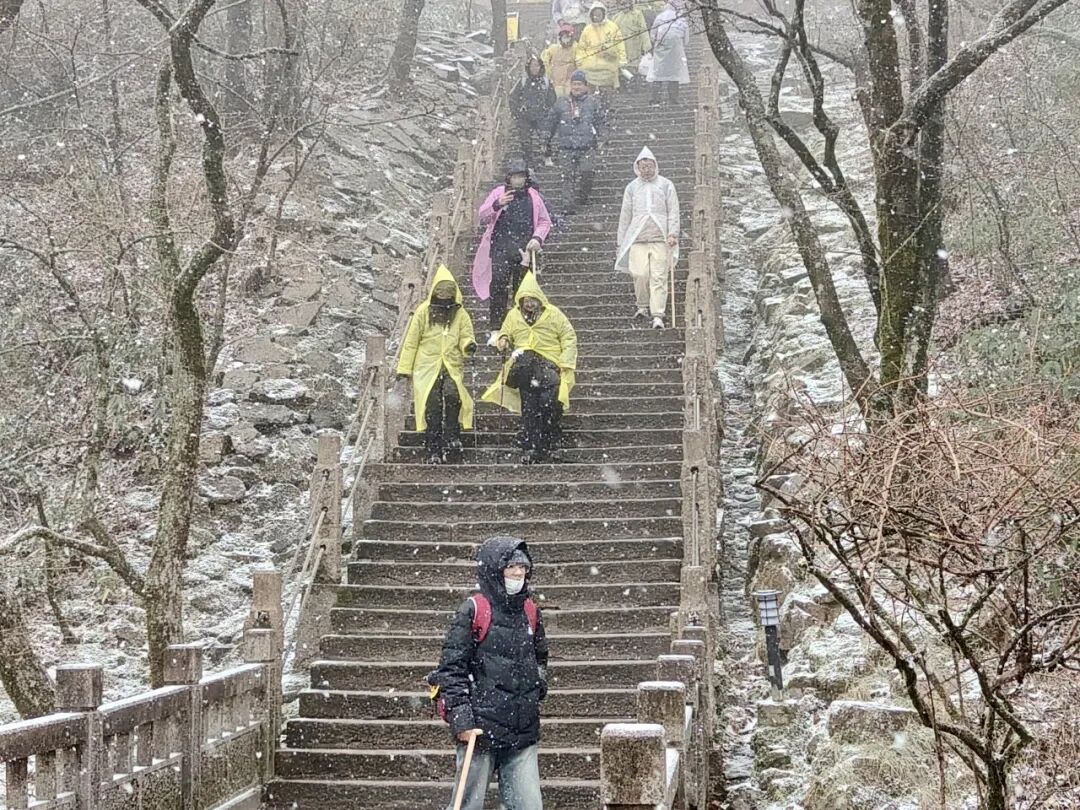 雪雪雪！黄山风景区迎来今冬首场降雪