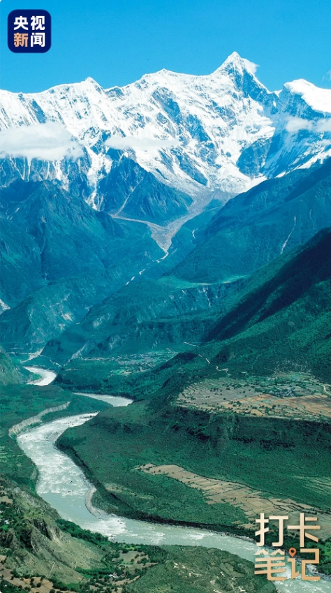 在 去 林 芝 可 太 香 了 ！
