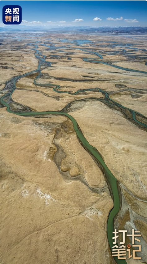 在 去 林 芝 可 太 香 了 ！