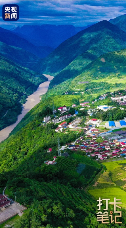 在 去 林 芝 可 太 香 了 ！