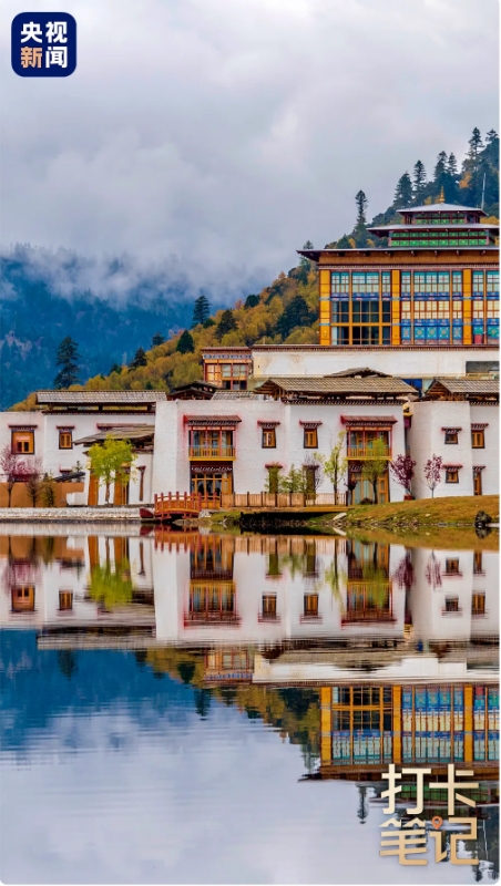 在 去 林 芝 可 太 香 了 ！