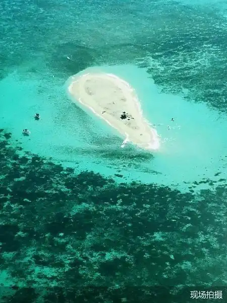 澳大利亚旅游局：长线游走热受益航班恢复及签证便利