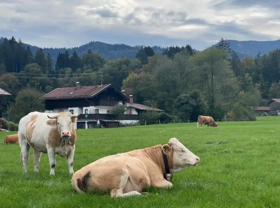 2024年德国致力打造可持续发展文化旅游目的地