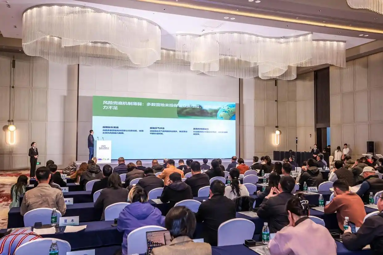 三省一市四条精品自驾线路发布，户外露营玩法上新