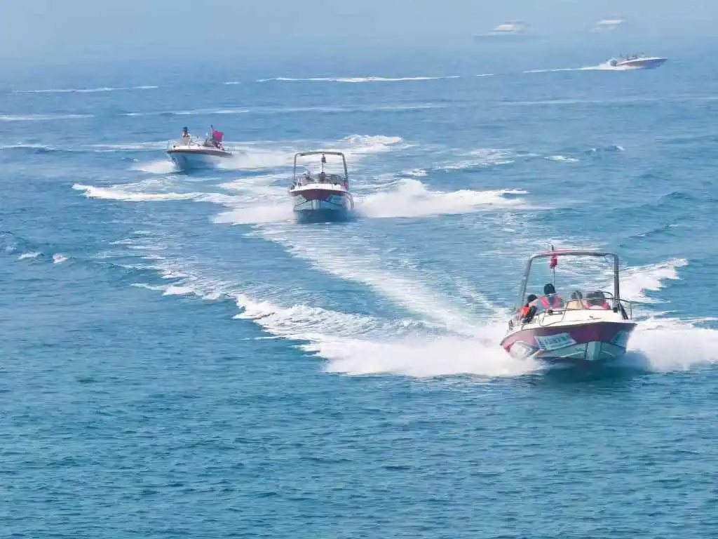 “三民”活动｜市交通运输局：北方首位、全国前三！“海上看青岛”渐入佳境