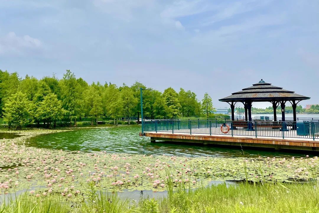 去游乐园玩吧！享受难得的室外童趣时光