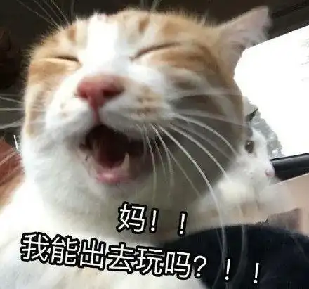 2月6日起，可以出境团队游了！