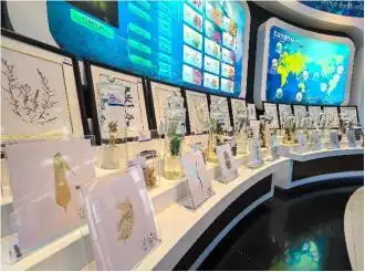 一张小票根，“惠”游西海岸