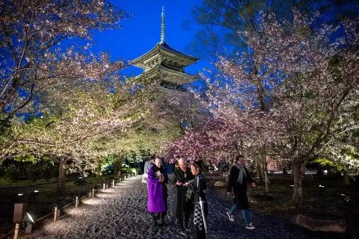 日媒：中国游客数量骤降，重创日本旅游业