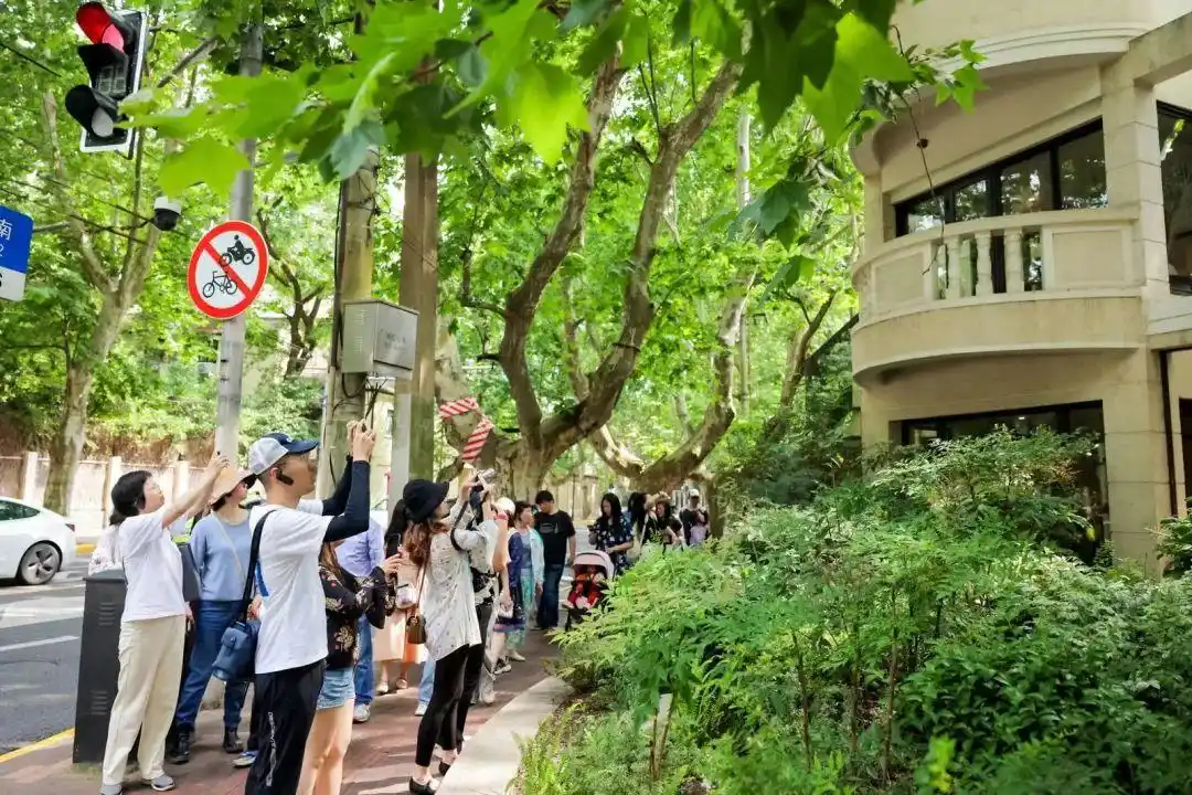 避开人流游上海，这些目的地小众却惊艳