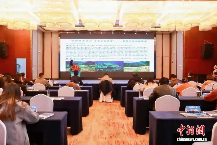 西藏林芝鲁朗景区开展文旅主题推广活动