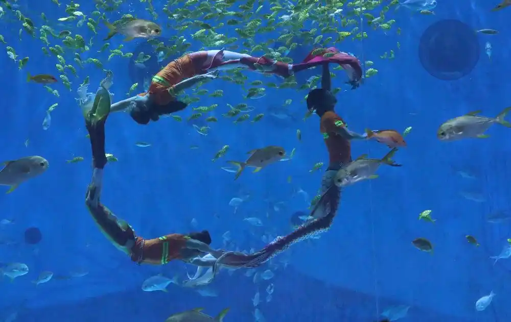 上海发力“五一”假日消费 打造都市旅游“首选地”和入境旅游“第一站”