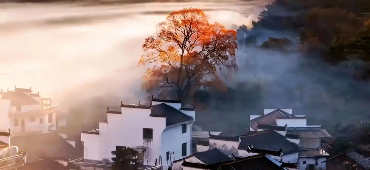 婺源石城的秋天，真的在国内没有平替！