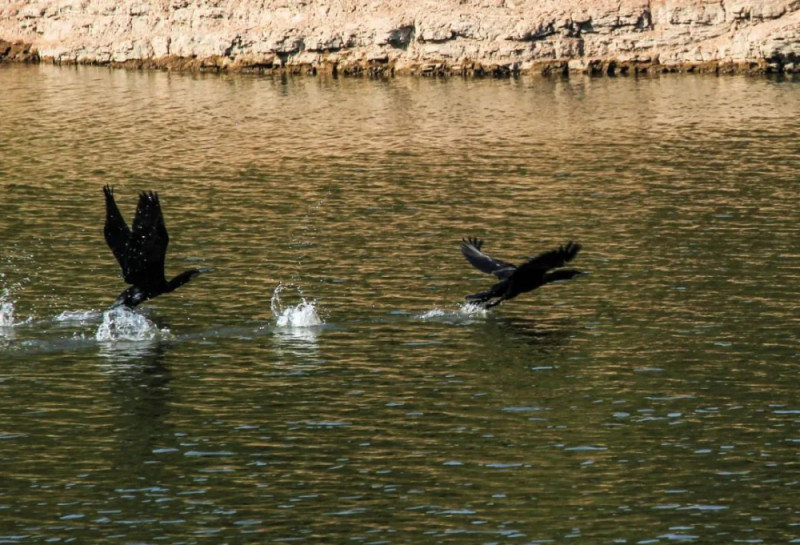 重庆有个“九寨沟”，占地6000亩！在这里……