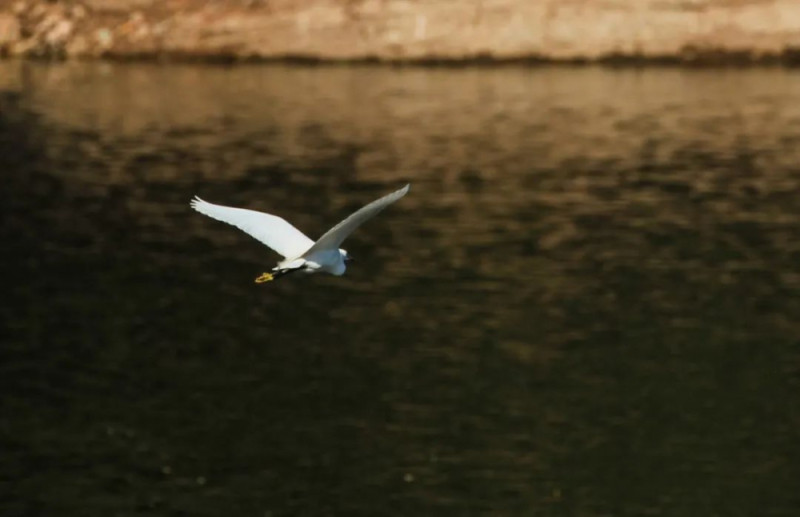 重庆有个“九寨沟”，占地6000亩！在这里……