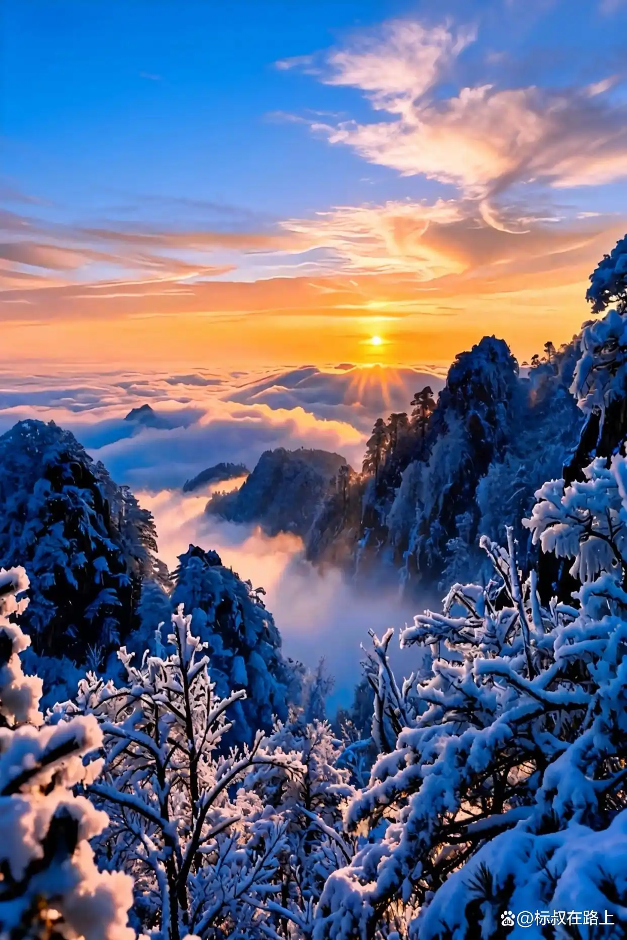 黄山的绝美雾凇、日出和云海！太震撼了！