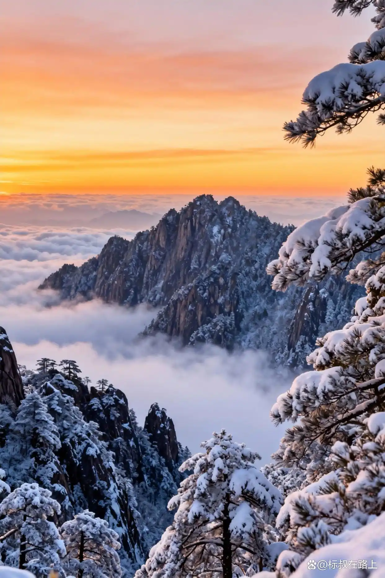 黄山的绝美雾凇、日出和云海！太震撼了！