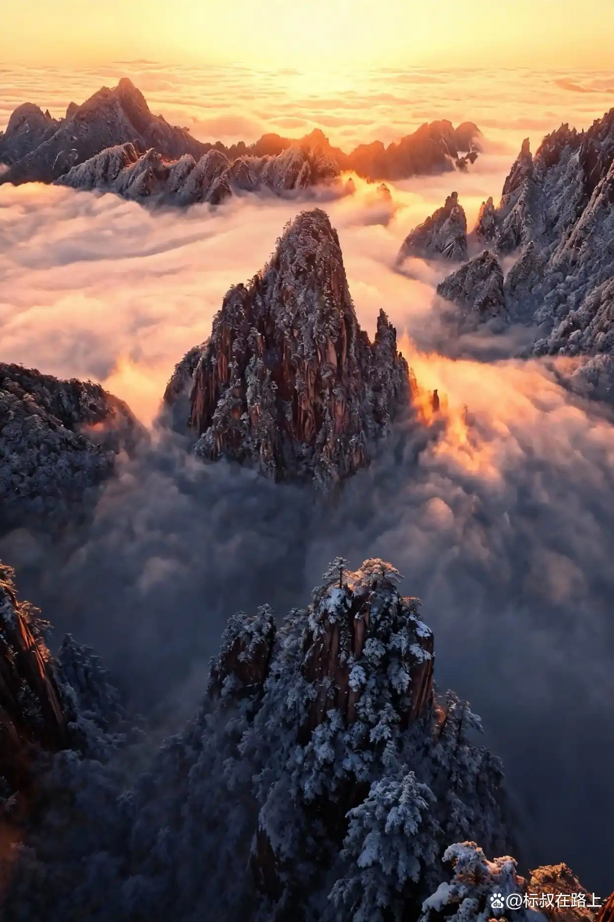 黄山的绝美雾凇、日出和云海！太震撼了！