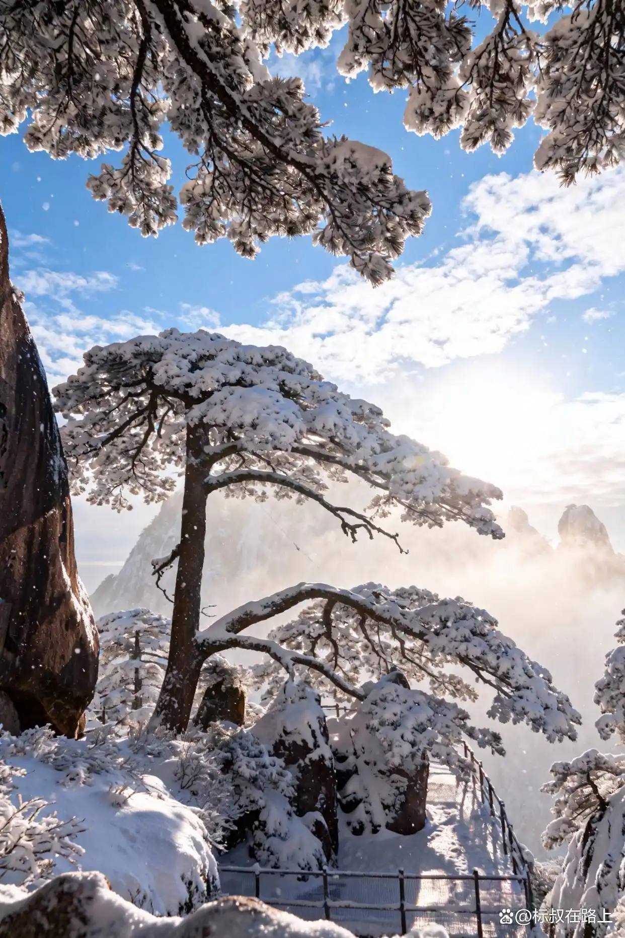 黄山的绝美雾凇、日出和云海！太震撼了！