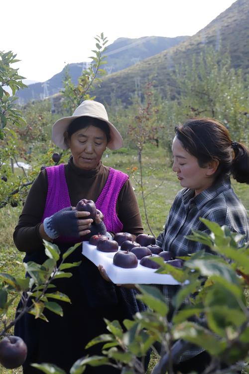 林芝姑娘次仁吉：把田间的特产送到“云端”