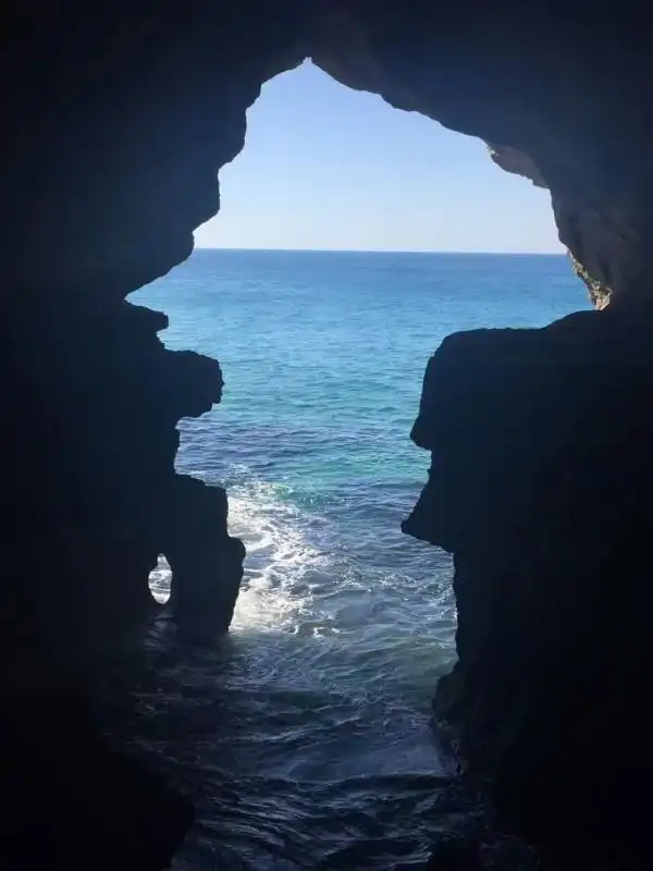 中国游客出境游新宠！摩洛哥国家旅游局CEO解码“吸引力”