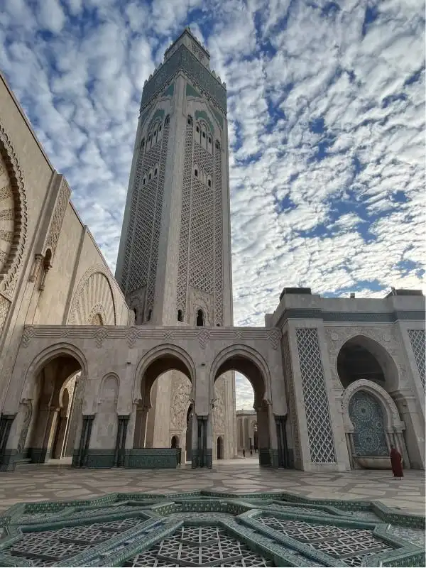 中国游客出境游新宠！摩洛哥国家旅游局CEO解码“吸引力”