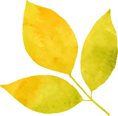 敦煌的女儿们｜何鄂：我能奉献给时代的，唯有源自敦煌的雕塑