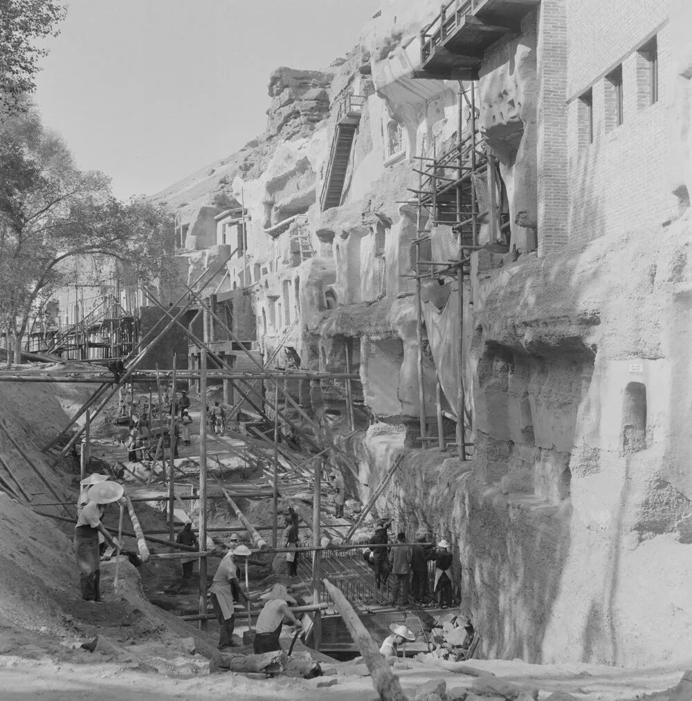 敦煌的女儿们｜樊锦诗：“此生命定，我是莫高窟守护人！”